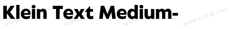 Klein Text Medium字体转换